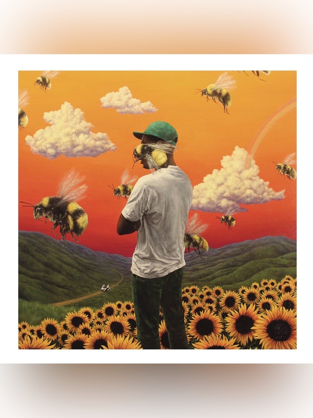 Tyler the Creator “Flower Boy” Vinyl Record